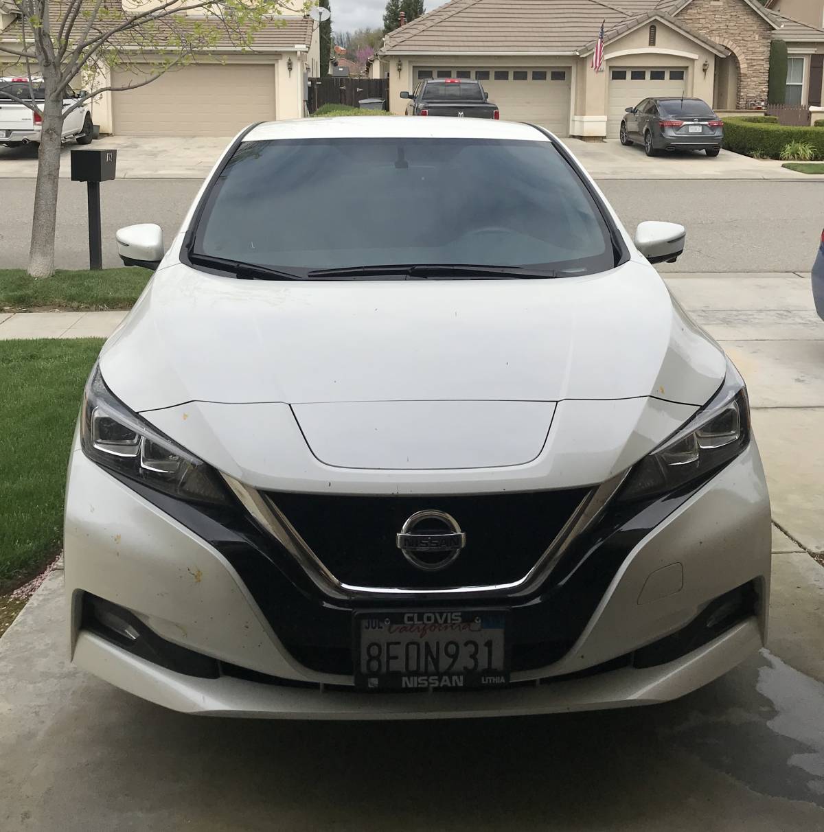 2018 Nissan LEAF 1N4AZ1CP0JC313063