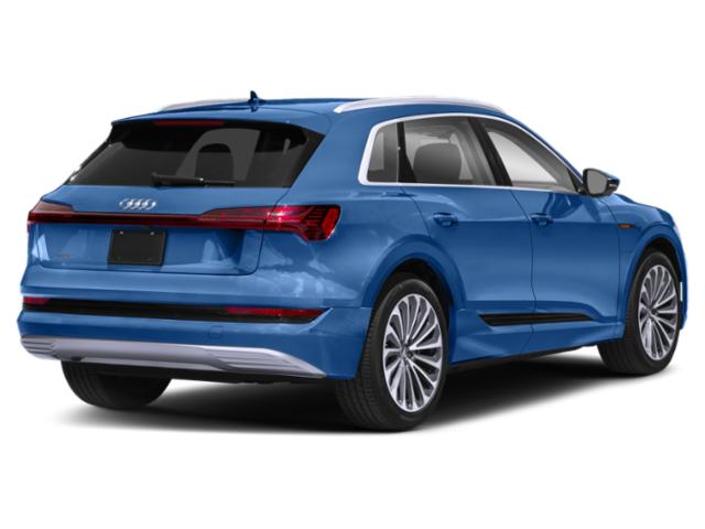 2019 Audi e-tron WA1VAAGE0KB020096