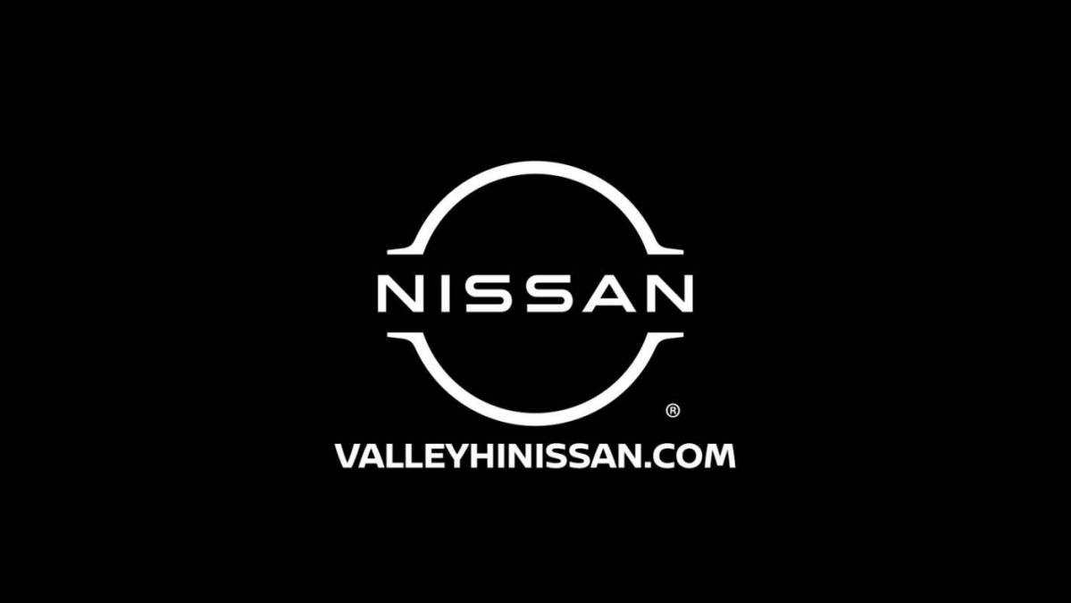 2020 Nissan LEAF 1N4AZ1CPXLC305104