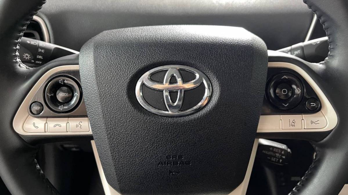 2019 Toyota Prius Prime JTDKARFP2K3117966