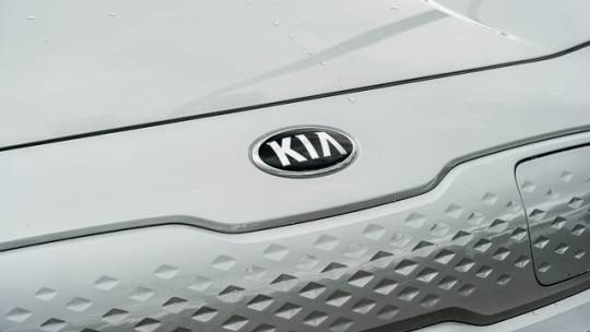 2020 Kia NIRO EV KNDCC3LG9L5081375