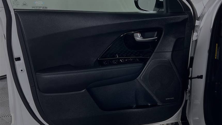2019 Kia NIRO EV KNDCE3LG4K5019276