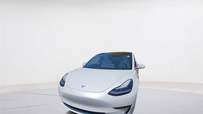2020 Tesla Model 3 5YJ3E1EA4LF709977