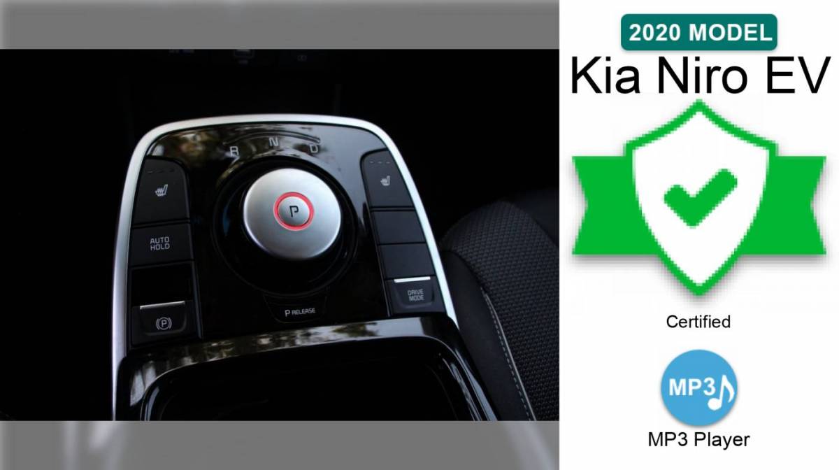 2020 Kia NIRO EV KNDCC3LG0L5065193