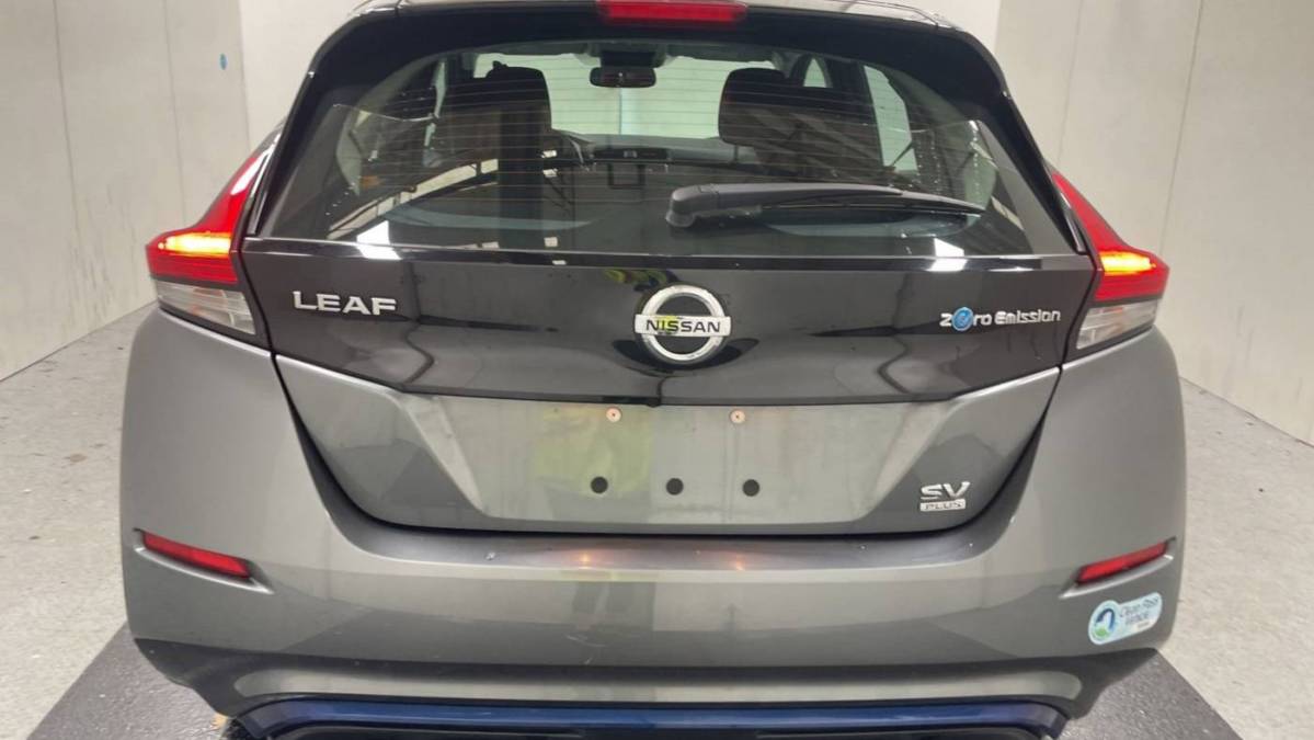 2019 Nissan LEAF 1N4BZ1CPXKC317739