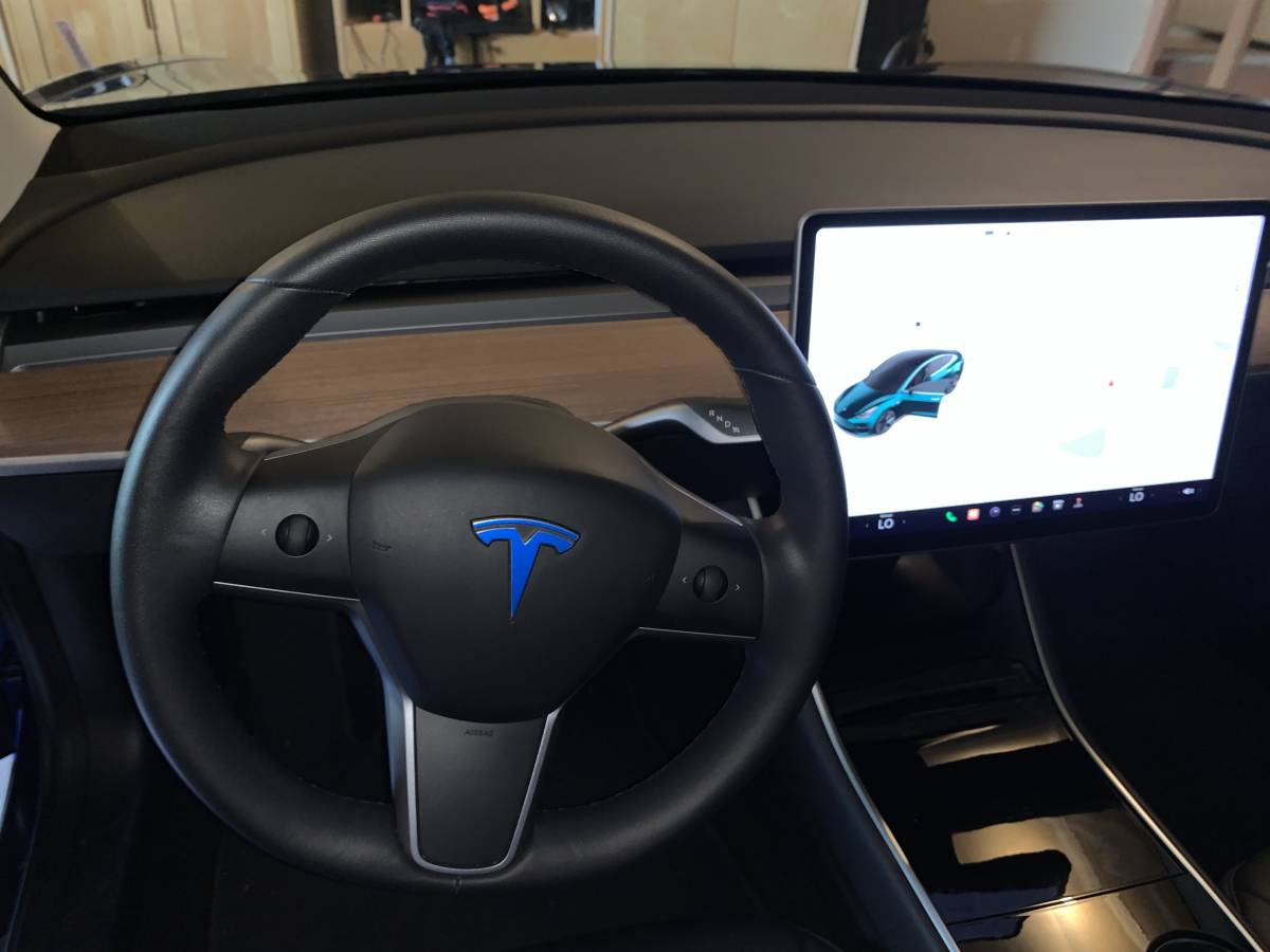 2020 Tesla Model 3 5YJ3E1EB1LF617508