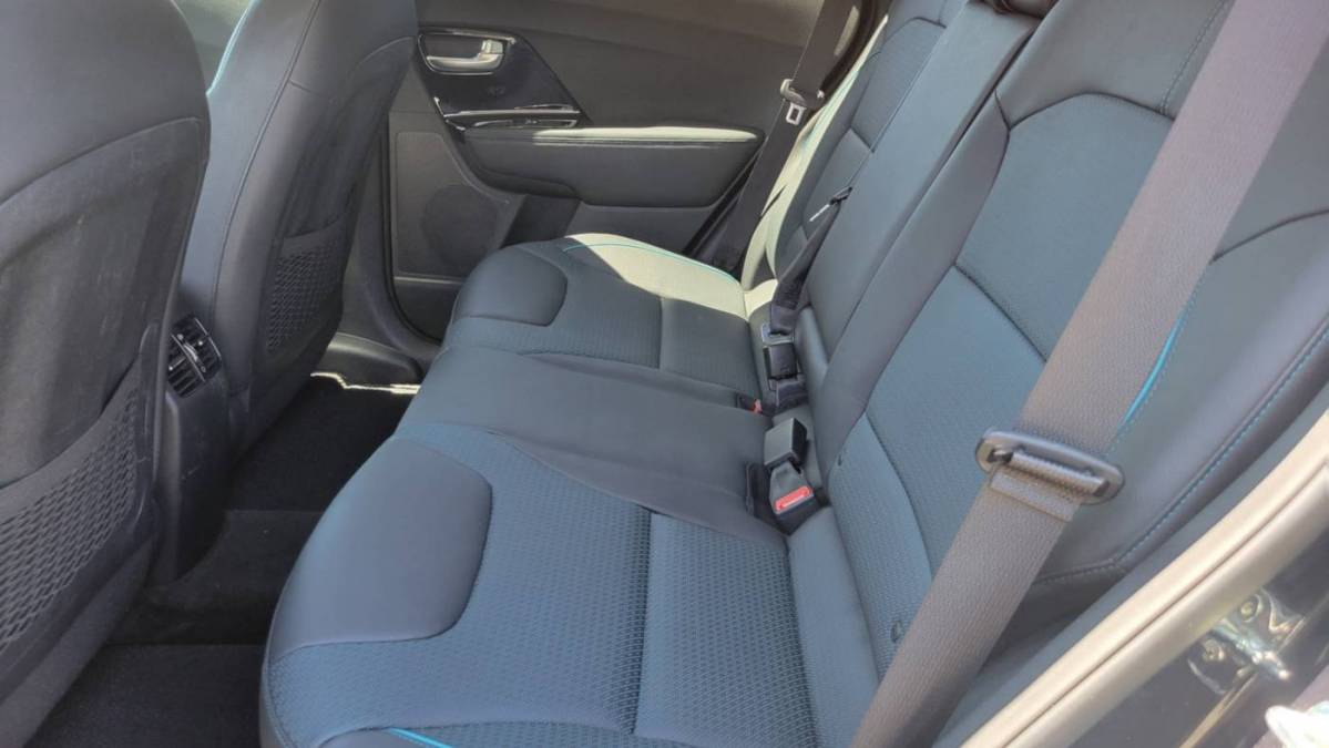 2019 Kia NIRO EV KNDCE3LG5K5030321