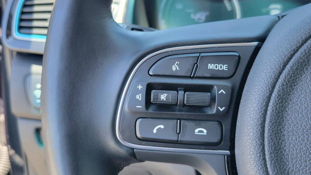2019 Kia NIRO EV KNDCE3LG5K5030321