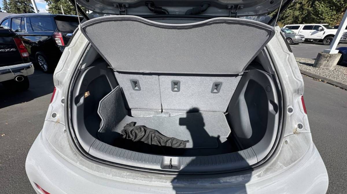 2020 Chevrolet Bolt 1G1FY6S04L4132803