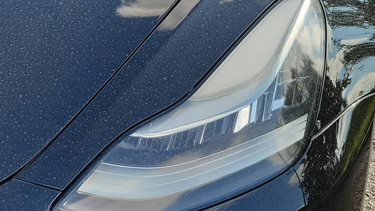 2019 Tesla Model 3 5YJ3E1EA3KF296755