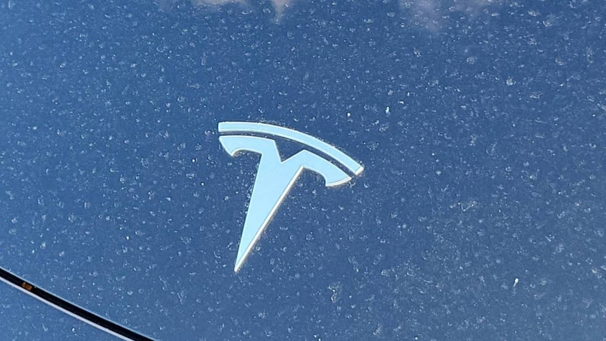 2019 Tesla Model 3 5YJ3E1EA3KF296755