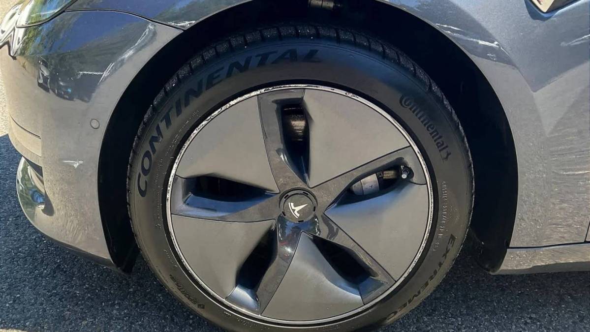 2020 Tesla Model 3 5YJ3E1EB4LF663849