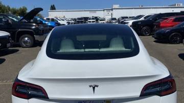 2019 Tesla Model 3 5YJ3E1EB5KF213884