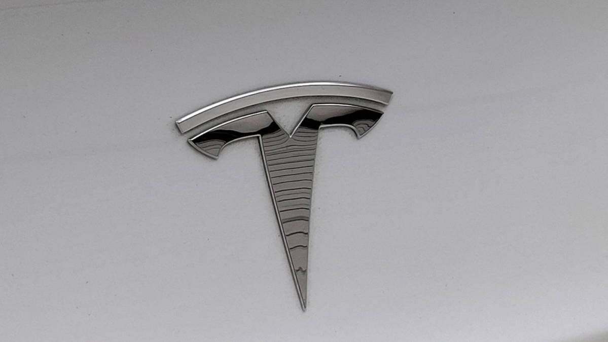 2020 Tesla Model 3 5YJ3E1EB4LF667769