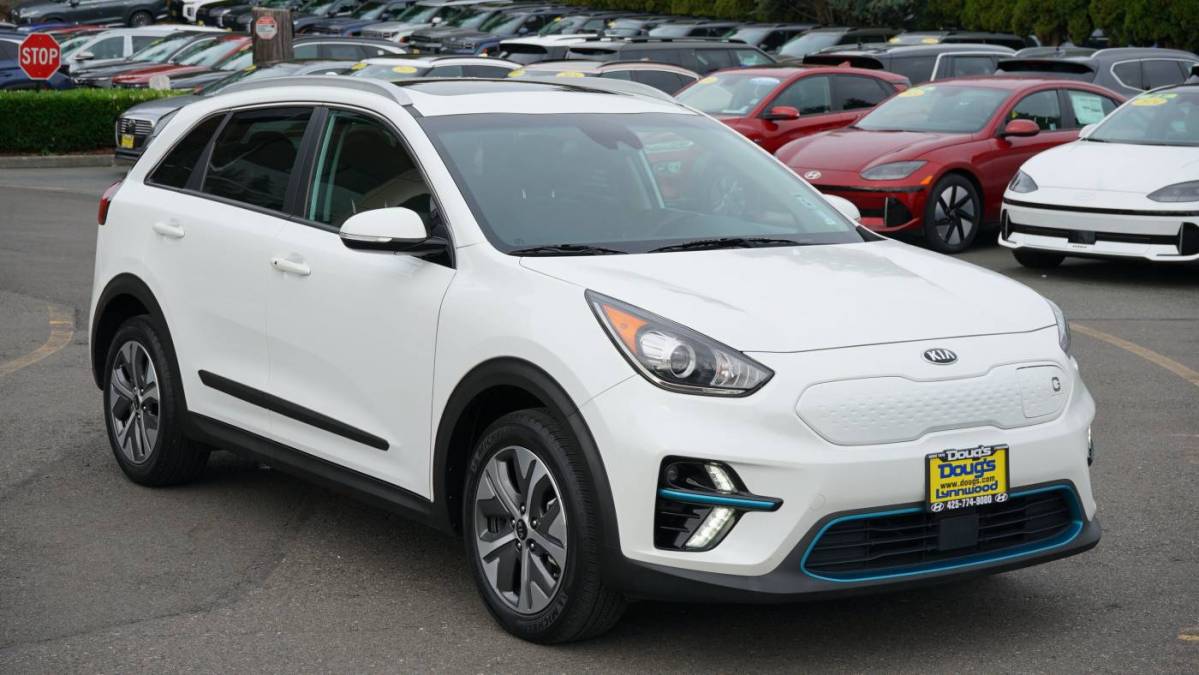 2019 Kia NIRO EV KNDCE3LG3K5030009