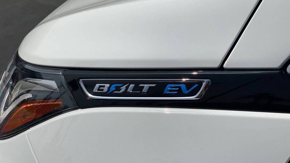 2020 Chevrolet Bolt 1G1FY6S0XL4148231