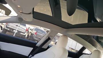 2019 Tesla Model 3 5YJ3E1EA5KF509284