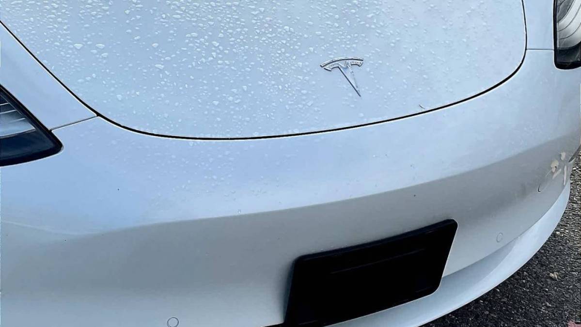 2019 Tesla Model 3 5YJ3E1EB3KF470073