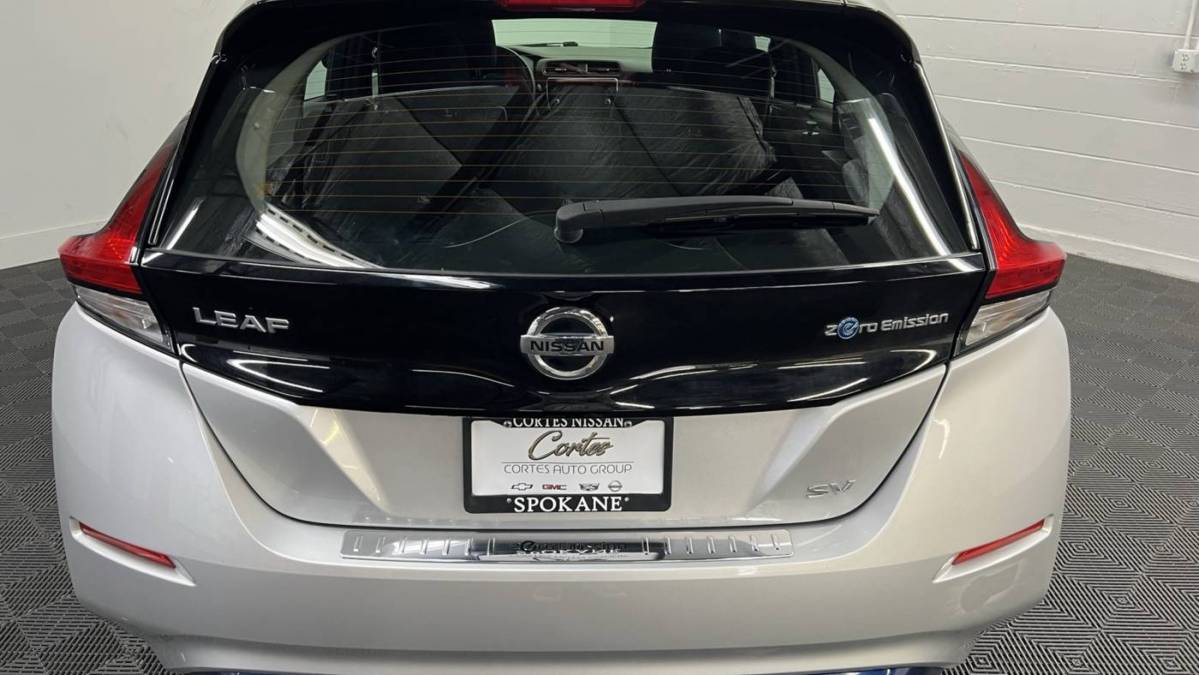 2019 Nissan LEAF 1N4AZ1CP0KC313176