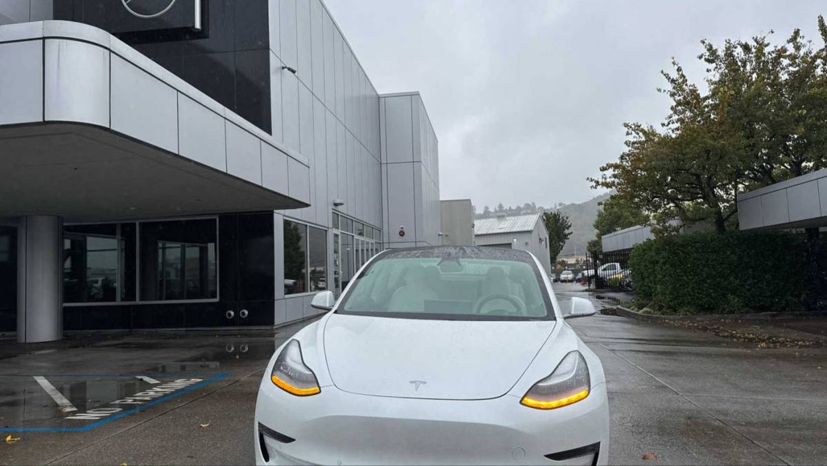 2019 Tesla Model 3 5YJ3E1EB2KF513060