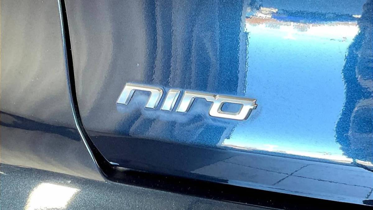 2020 Kia NIRO EV KNDCC3LGXL5061815