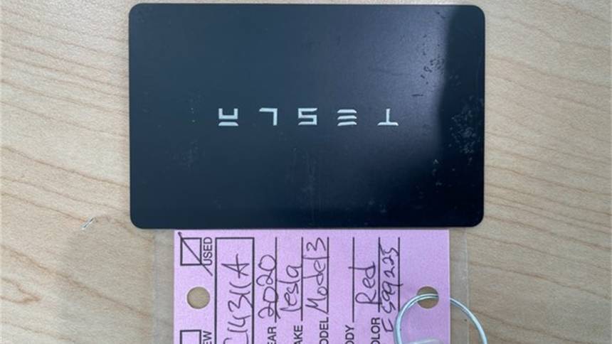 2020 Tesla Model 3 5YJ3E1EA8LF599225