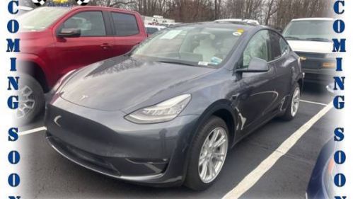 2021 Tesla Model Y 5YJYGDED2MF113084