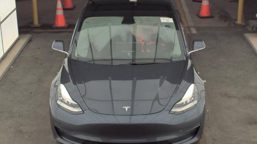 2019 Tesla Model 3 5YJ3E1EA0KF435708