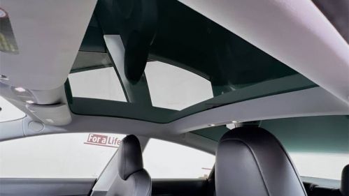 2020 Tesla Model 3 5YJ3E1EA6LF738977