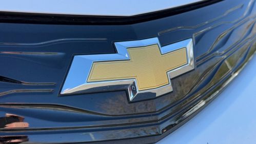 2020 Chevrolet Bolt 1G1FZ6S02L4142839