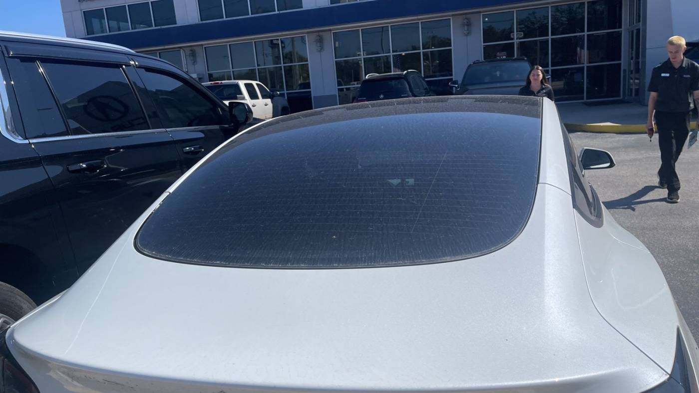 2021 Tesla Model 3 5YJ3E1EA6MF989810