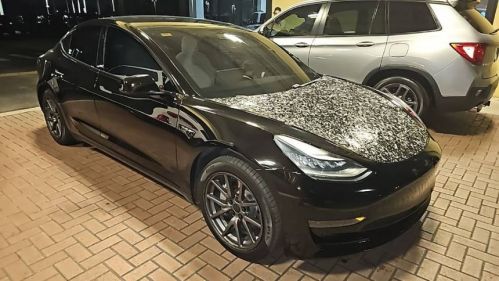 2020 Tesla Model 3 5YJ3E1EAXLF747309