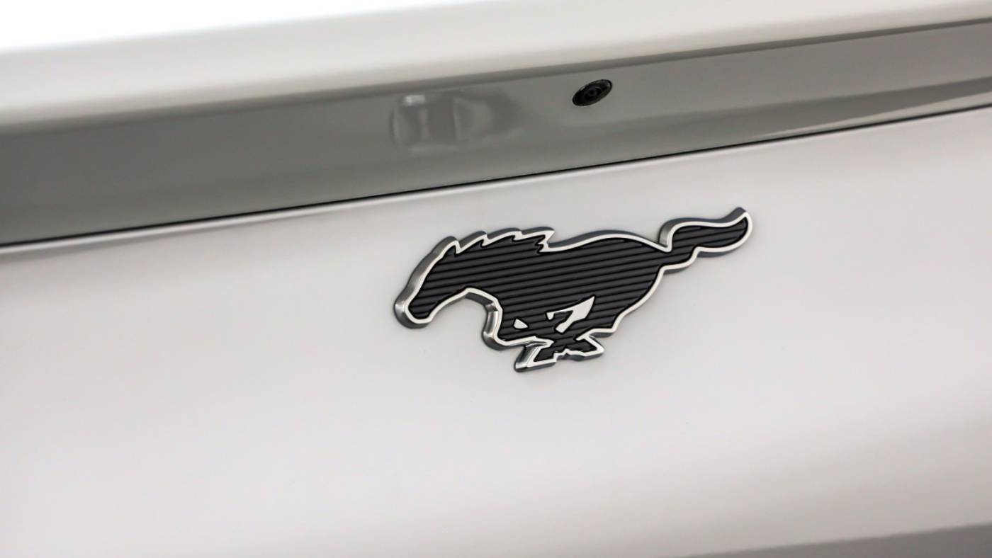 2023 Ford Mustang Mach E 3FMTK1RM8PMA36153