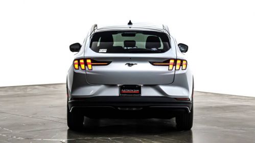 2023 Ford Mustang Mach E 3FMTK1RM8PMA36153