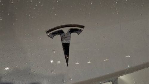 2021 Tesla Model 3 5YJ3E1EA9MF014699
