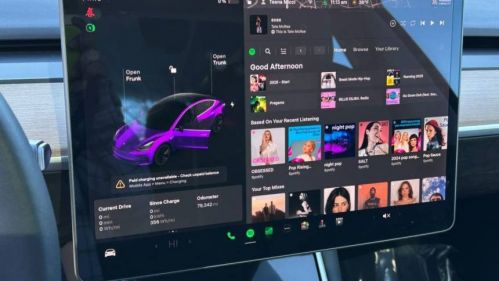 2019 Tesla Model 3 5YJ3E1EA5KF466873