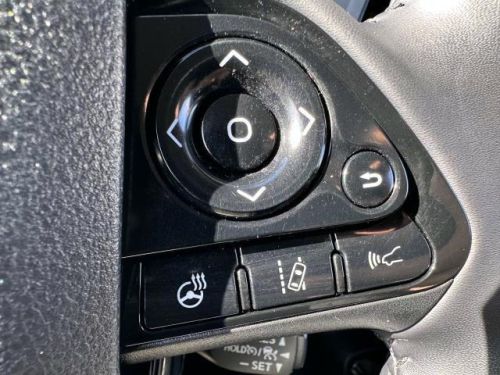 2020 Toyota Prius Prime JTDKARFP4L3131319