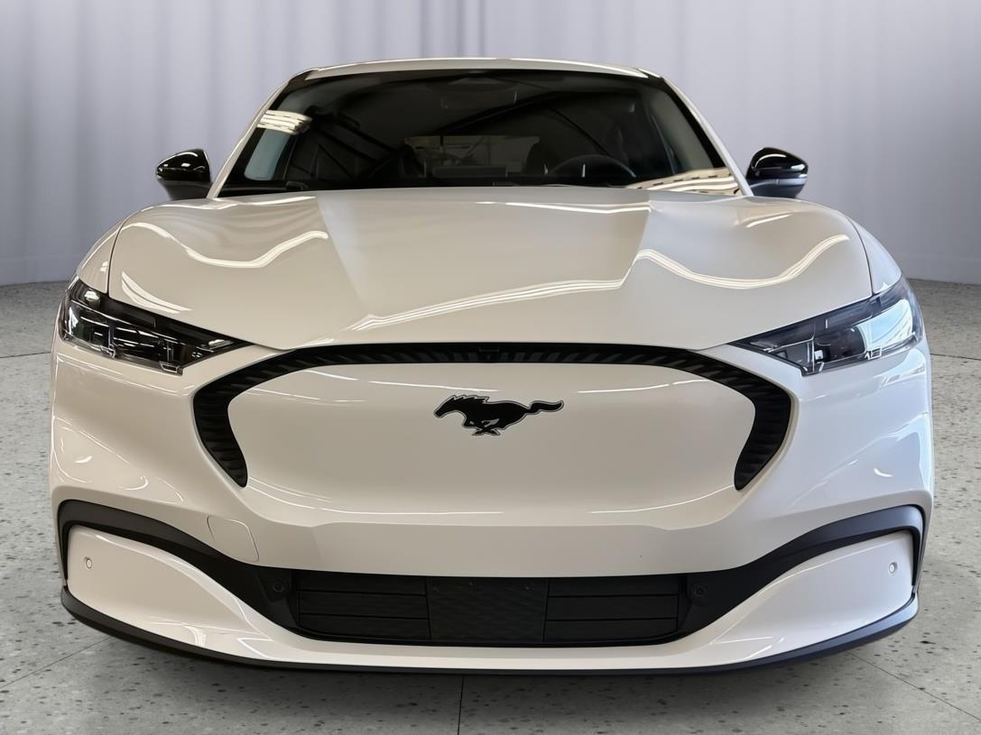 2024 Ford Mustang Mach E 3FMTK1S56RMA07854