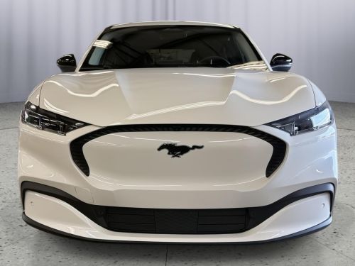 2024 Ford Mustang Mach E 3FMTK1S56RMA07854