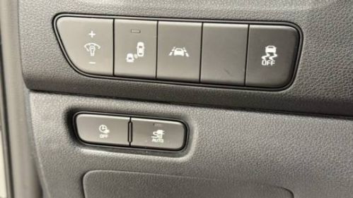 2022 Kia NIRO EV KNDCE3LGXN5135036