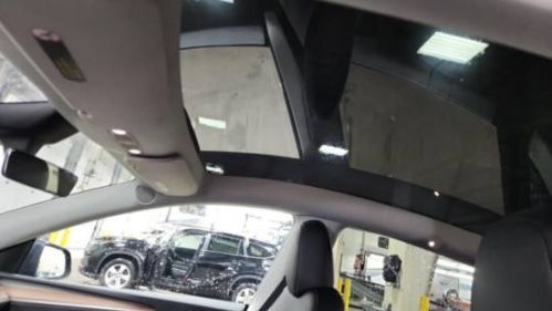 2023 Tesla Model Y 7SAYGDEF4PF936852