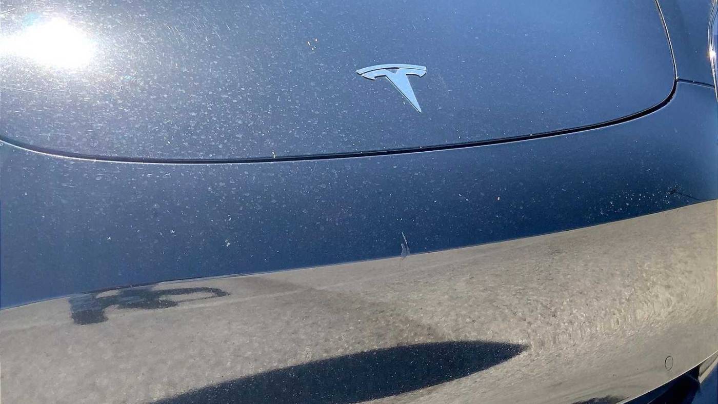 2021 Tesla Model 3 5YJ3E1EA0MF052824
