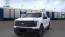 2025 Ford F-150 Lightning - Images - 2