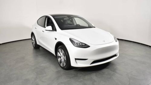 2022 Tesla Model Y 7SAYGDEE0NF356356