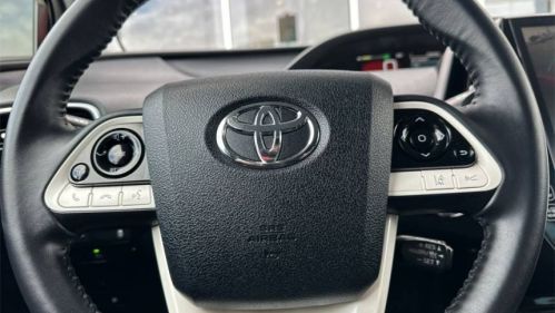 2019 Toyota Prius Prime JTDKARFP3K3116860