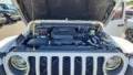 2021 Jeep Wrangler 1C4JJXR63MW676284