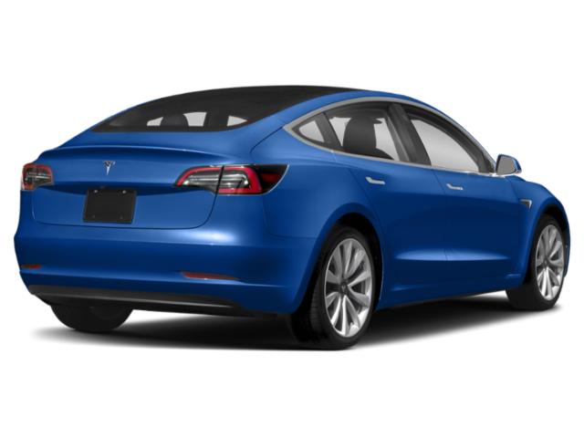 2019 Tesla Model 3 5YJ3E1EB2KF393566