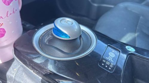 2014 Nissan LEAF 1N4AZ0CP9EC339225