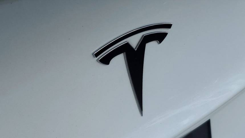 2020 Tesla Model 3 5YJ3E1EA4LF783951