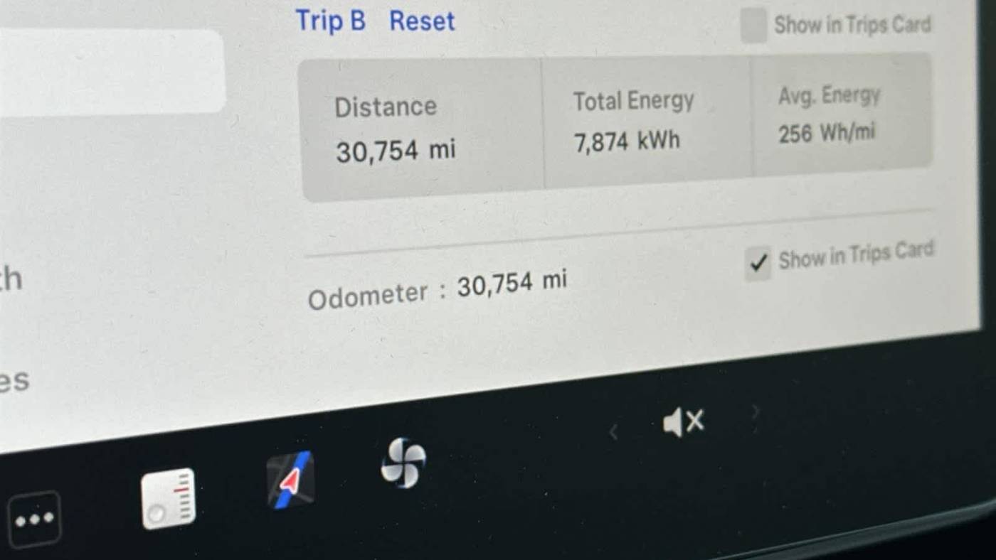 2023 Tesla Model Y 7SAYGDEE3PA024038